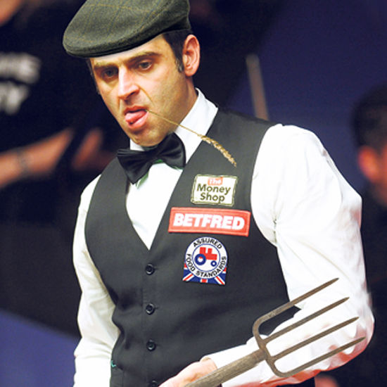 以山东省某 以山东省某